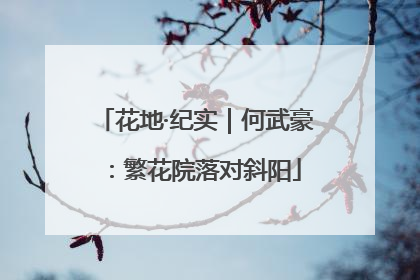 花地·纪实｜何武豪：繁花院落对斜阳