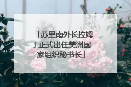 苏里南外长拉姆丁正式出任美洲国家组织秘书长