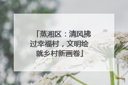 蒸湘区：清风拂过幸福村，文明绘就乡村新画卷