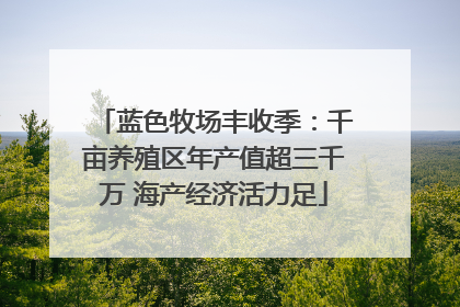 蓝色牧场丰收季：千亩养殖区年产值超三千万 海产经济活力足