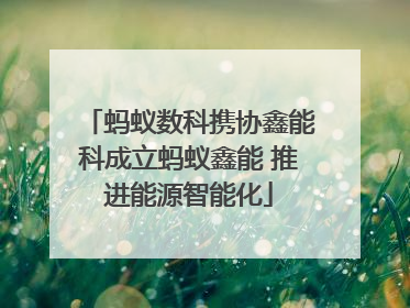 蚂蚁数科携协鑫能科成立蚂蚁鑫能 推进能源智能化