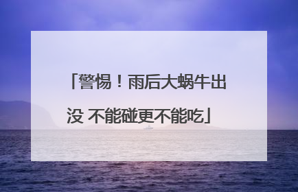 警惕！雨后大蜗牛出没 不能碰更不能吃