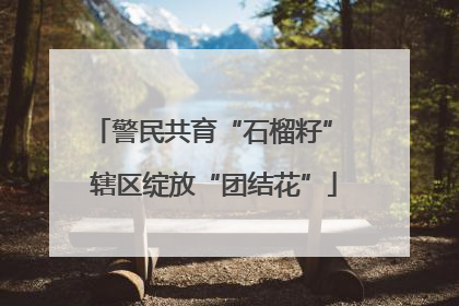 警民共育“石榴籽” 辖区绽放“团结花”