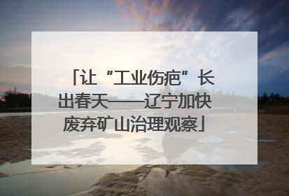 让“工业伤疤”长出春天——辽宁加快废弃矿山治理观察