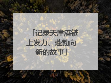 记录天津港链上发力、蓬勃向新的故事