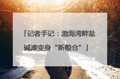 记者手记：渤海湾畔盐碱滩变身“新粮仓”