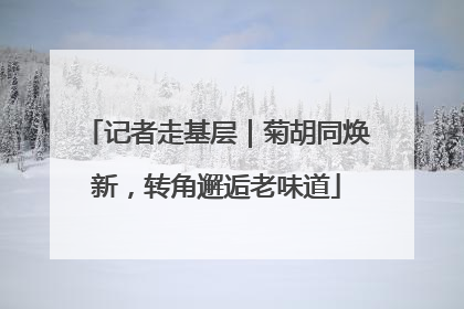 记者走基层｜菊胡同焕新，转角邂逅老味道