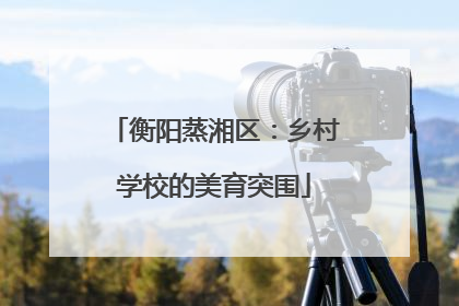 衡阳蒸湘区：乡村学校的美育突围