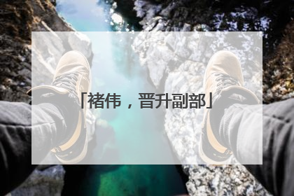 褚伟，晋升副部