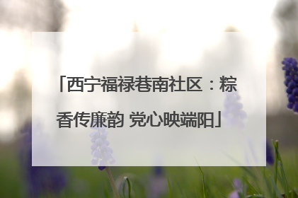 西宁福禄巷南社区：粽香传廉韵 党心映端阳