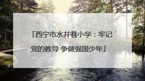 西宁市水井巷小学：牢记党的教导 争做强国少年