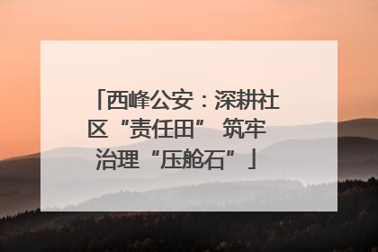 西峰公安：深耕社区“责任田” 筑牢治理“压舱石”