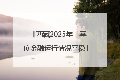 西藏2025年一季度金融运行情况平稳