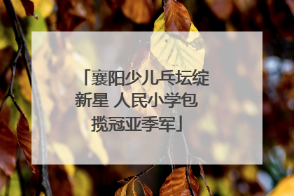 襄阳少儿乓坛绽新星 人民小学包揽冠亚季军