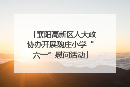 襄阳高新区人大政协办开展魏庄小学“六一”慰问活动