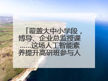 覆盖大中小学段，博导、企业总监授课……这场人工智能素养提升高研班参与人次达30万