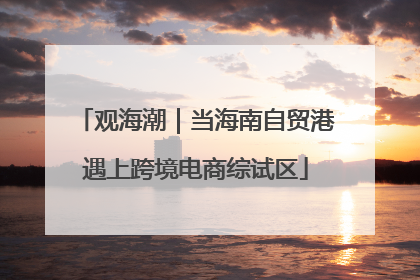 观海潮｜当海南自贸港遇上跨境电商综试区