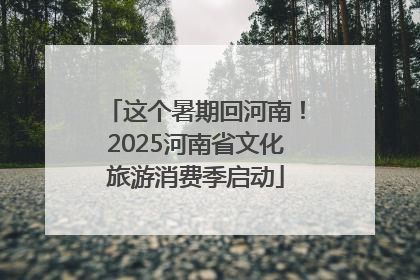 这个暑期回河南！2025河南省文化旅游消费季启动