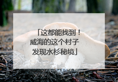 这都能找到！威海的这个村子发现水杉秘境