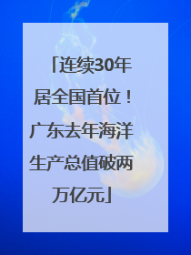 连续30年居全国首位！广东去年海洋生产总值破两万亿元
