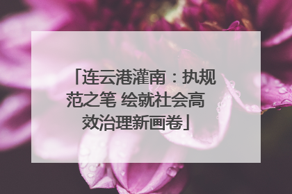 连云港灌南：执规范之笔 绘就社会高效治理新画卷