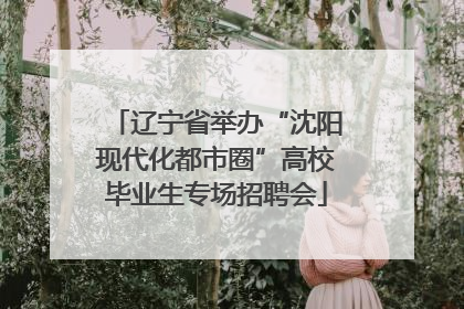 辽宁省举办“沈阳现代化都市圈”高校毕业生专场招聘会