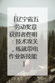 辽宁省五一劳动奖章获得者佟明：技术攻关，练就带电作业新技能