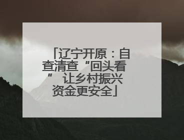 辽宁开原：自查清查“回头看” 让乡村振兴资金更安全