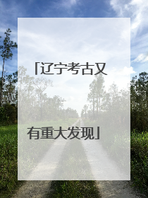 辽宁考古又有重大发现