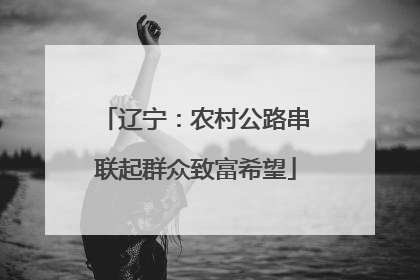 辽宁：农村公路串联起群众致富希望