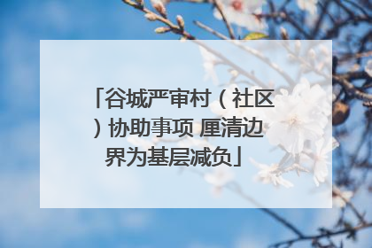 谷城严审村（社区）协助事项 厘清边界为基层减负