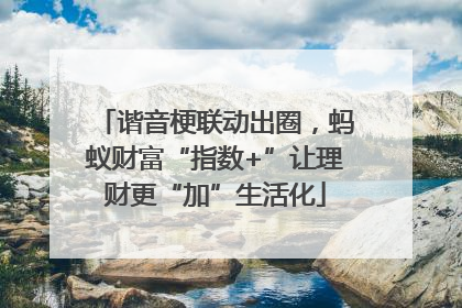 谐音梗联动出圈，蚂蚁财富“指数+”让理财更“加”生活化