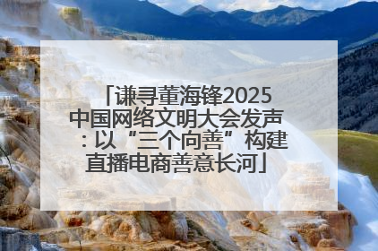 谦寻董海锋2025中国网络文明大会发声：以“三个向善”构建直播电商善意长河