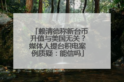 赖清德称新台币升值与美国无关？媒体人提台积电案例质疑：能信吗