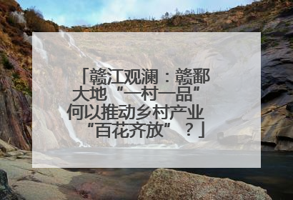 赣江观澜：赣鄱大地“一村一品”何以推动乡村产业“百花齐放”？