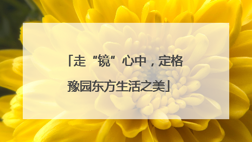 走“镜”心中，定格豫园东方生活之美