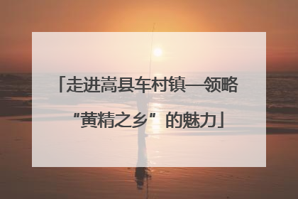 走进嵩县车村镇—领略“黄精之乡”的魅力