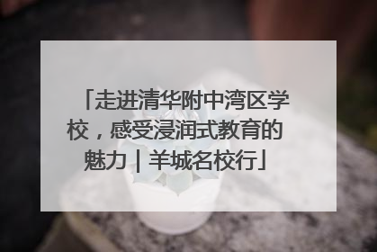 走进清华附中湾区学校，感受浸润式教育的魅力｜羊城名校行