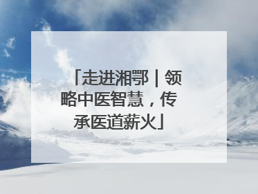 走进湘鄂｜领略中医智慧，传承医道薪火