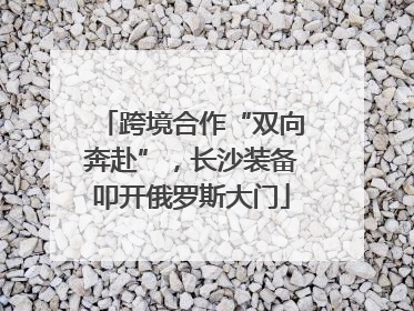跨境合作“双向奔赴”，长沙装备叩开俄罗斯大门
