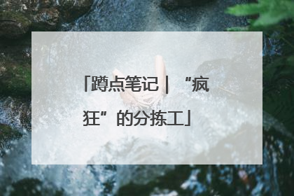 蹲点笔记｜“疯狂”的分拣工