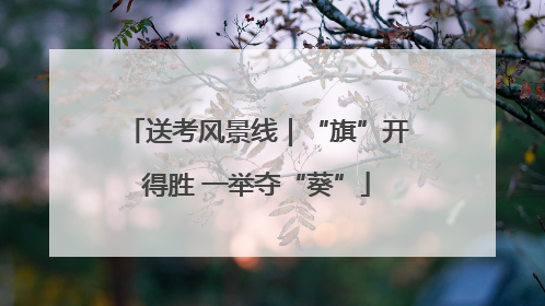 送考风景线｜“旗”开得胜 一举夺“葵”