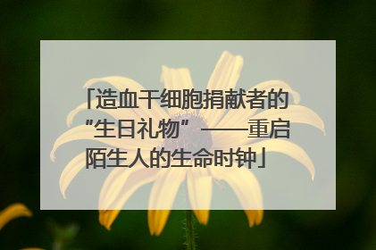 造血干细胞捐献者的“生日礼物”——重启陌生人的生命时钟