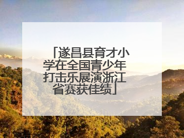 遂昌县育才小学在全国青少年打击乐展演浙江省赛获佳绩