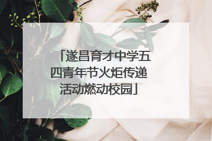 遂昌育才中学五四青年节火炬传递活动燃动校园