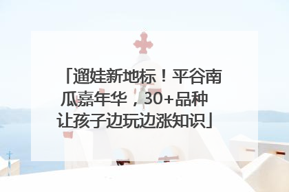 遛娃新地标！平谷南瓜嘉年华，30+品种让孩子边玩边涨知识