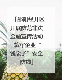 邵阳经开区开展防范非法金融宣传活动 筑牢企业“钱袋子”安全防线