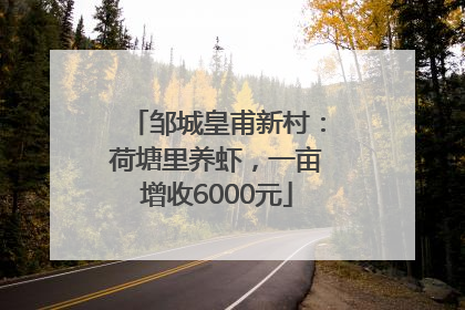 邹城皇甫新村：荷塘里养虾，一亩增收6000元