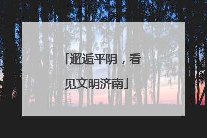邂逅平阴，看见文明济南