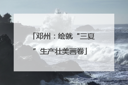 邓州：绘就“三夏”生产壮美画卷